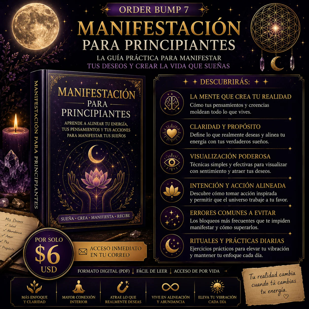 Manifestación para Principiantes