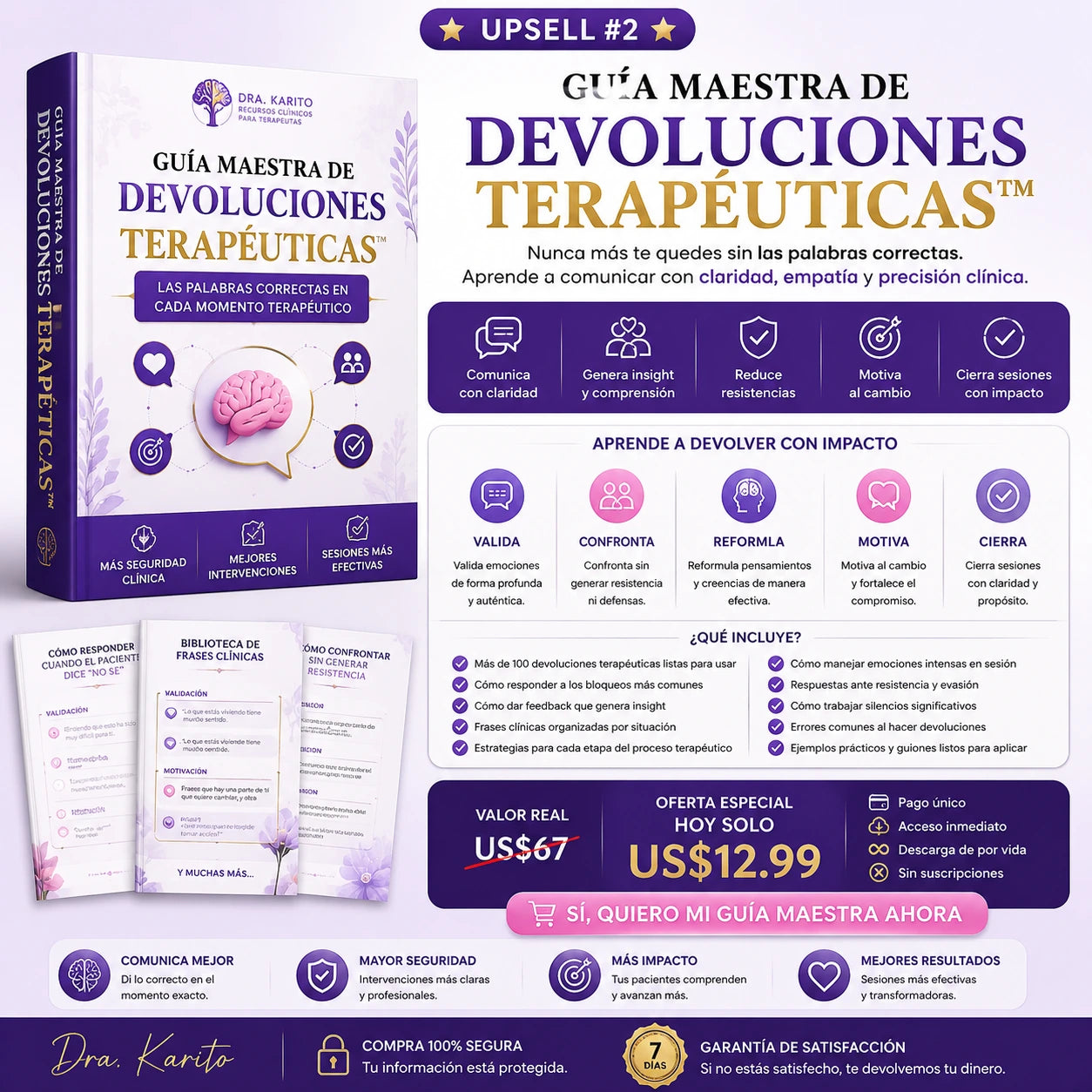 GUÍA MAESTRA DE DEVOLUCIONES TERAPÉUTICAS